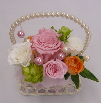 ��t���ԁ@�v���U�[�u�h�t�����[/�p�[���o�b�N�@�s���N